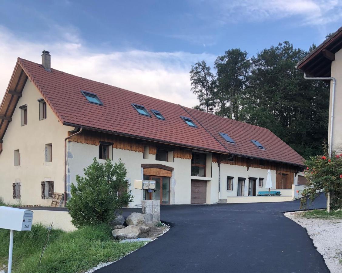 Appartement T4 Meuble De 105M2 Axe Annecy-Geneve à Saint-Martin-Bellevue Extérieur photo